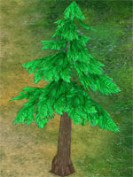 Tusk Softwood Tusk Softwood
